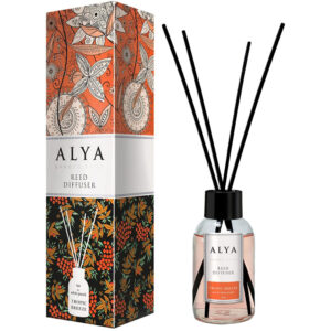 ALYA ΑΡΩΜΑΤΙΚΟ ΧΩΡΟΥ ΜΕ ΣΤΙΚ 100ML TROPIC BREEZE *
