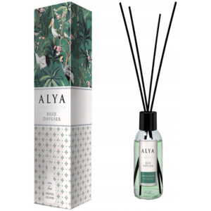 ALYA ΑΡΩΜΑΤΙΚΟ ΧΩΡΟΥ ΜΕ ΣΤΙΚ 100ML EXOTIC LEAVES *