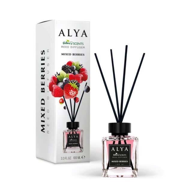 ALYA NATURE'S SCENTS ΑΡΩΜΑΤΙΚΟ ΧΩΡΟΥ ΜΕ ΣΤΙΚ 100ML MIXED BERRIES * - Image 1