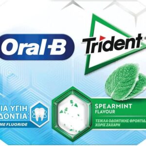TRIDENT DENTAL CARE SPEARMINT 17gr *