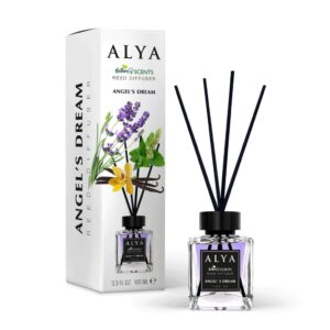 ALYA NATURE'S SCENTS ΑΡΩΜΑΤΙΚΟ ΧΩΡΟΥ ΜΕ ΣΤΙΚ 100ML ANGEL'S DREAM *