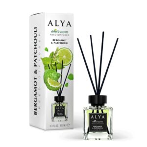 ALYA NATURE'S SCENTS ΑΡΩΜΑΤΙΚΟ ΧΩΡΟΥ ΜΕ ΣΤΙΚ 100ML BERGAMOT&PATCHOULI *