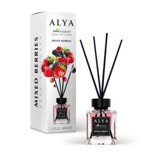 ALYA NATURE'S SCENTS ΑΡΩΜΑΤΙΚΟ ΧΩΡΟΥ ΜΕ ΣΤΙΚ 100ML MIXED BERRIES *