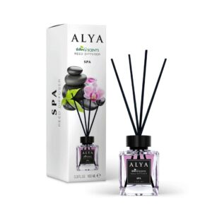 ALYA NATURE'S SCENTS ΑΡΩΜΑΤΙΚΟ ΧΩΡΟΥ ΜΕ ΣΤΙΚ 100ML SPA *