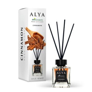 ALYA NATURE'S SCENTS ΑΡΩΜΑΤΙΚΟ ΧΩΡΟΥ ΜΕ ΣΤΙΚ 100ML CINNAMON *