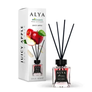 ALYA NATURE'S SCENTS ΑΡΩΜΑΤΙΚΟ ΧΩΡΟΥ ΜΕ ΣΤΙΚ 100ML JUICY APPLE